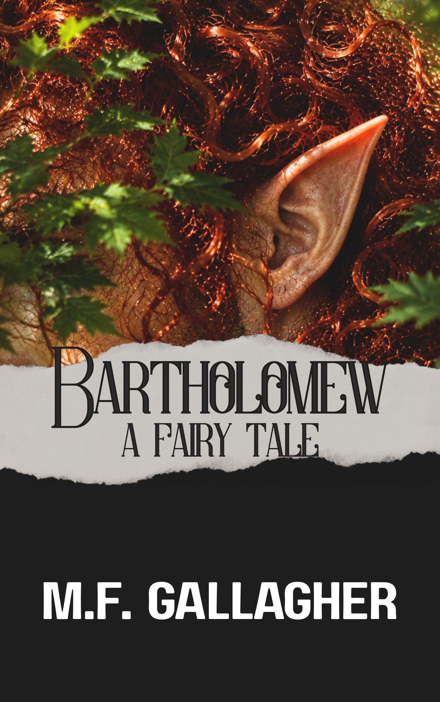 Bartholomew: A Fairy Tale book cover by M.F. Gallagher